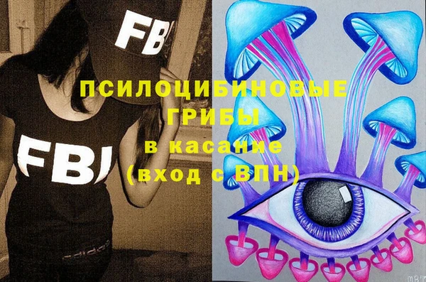 мет Болотное