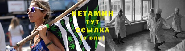 соль ск Новодвинск