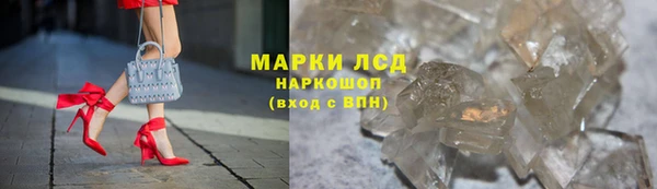 твердый Новокубанск