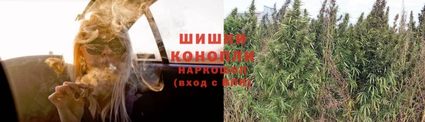 не бодяженный Новозыбков